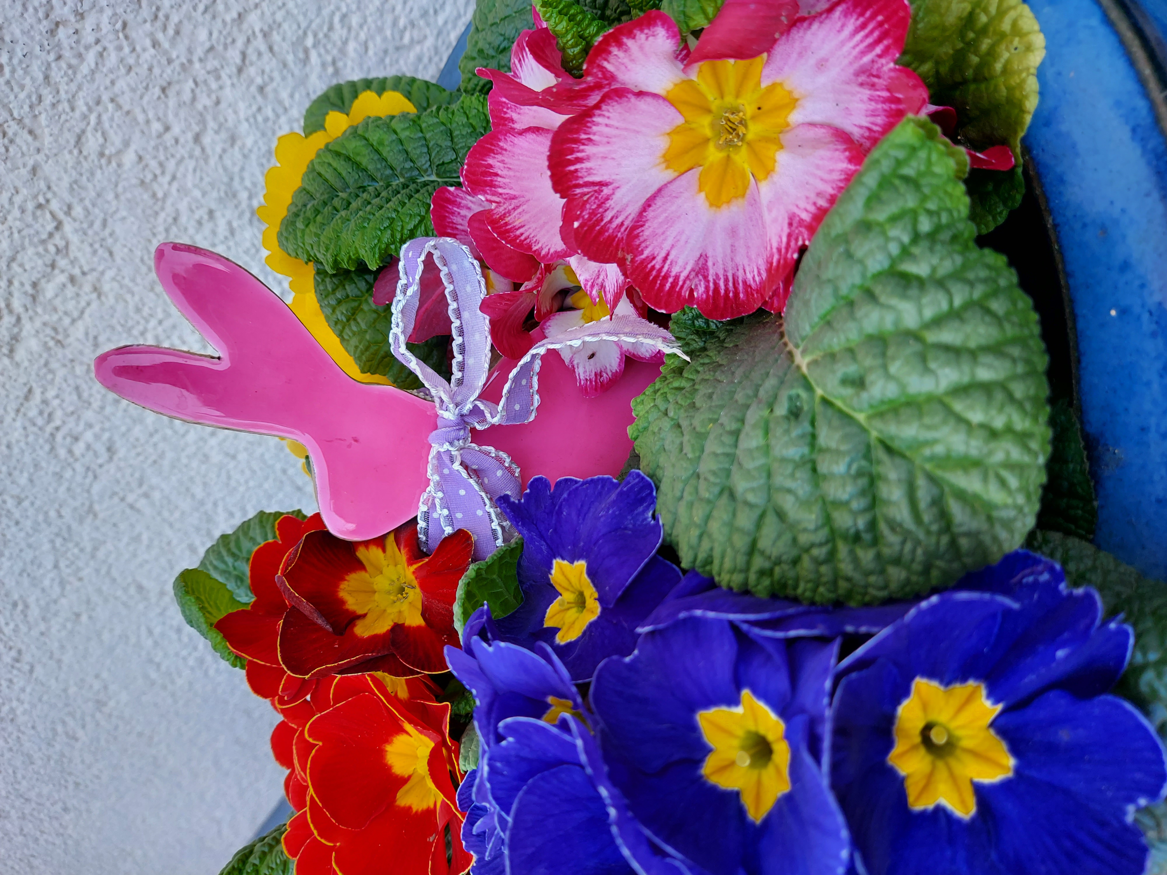 Fotos 2026 - Ostern.jpg